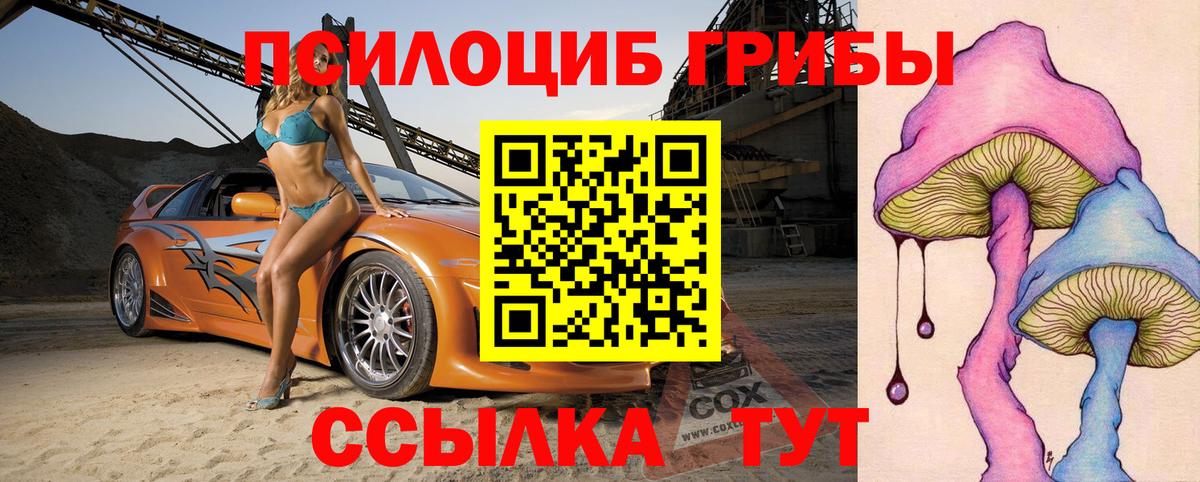 Петропавловск-Камчатский  Галлюциногенные грибы GOLDEN TEACHER  Вход с VPN 